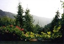 [1999vacance44.jpg]