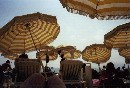 [1999vacance88.jpg]