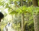 [2000-4kyoto14.jpg]