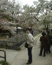 [2000-4kyoto19.jpg]