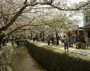 [2000-4kyoto20.jpg]