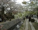 [2000-4kyoto21.jpg]