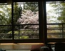 [2000-4kyoto25.jpg]