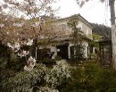[2000-4kyoto27.jpg]