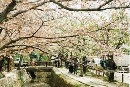 [2000-4kyoto52.jpg]