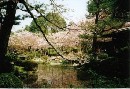 [2000-4kyoto55.jpg]