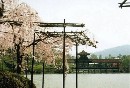 [2000-4kyoto59.jpg]