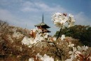 [2000-4kyoto64.jpg]