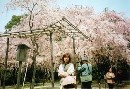 [2000-4kyoto67.jpg]
