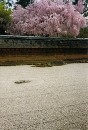 [2000-4kyoto68.jpg]
