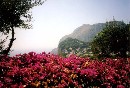 [2000sicile167.JPG]