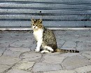 [2000sicile44.JPG]