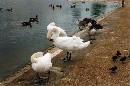 [2001Londre012.JPG]