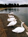 [2001Londre015.JPG]