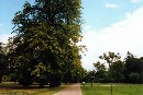 [2001Londre018.JPG]