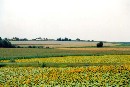 [2001Re002.JPG]