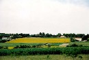 [2001Re003.JPG]