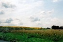 [2001Re010.JPG]