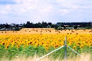 [2001Re011.JPG]