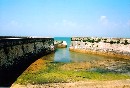 [2001Re067.JPG]