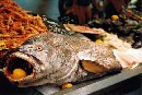 [2001Re111.JPG]