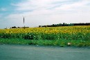 [2001Re135.JPG]