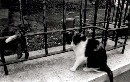 [2001rome196.JPG]