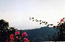 [2001sicile005.JPG]