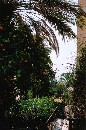 [2001sicile080.JPG]