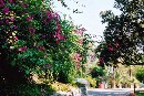 [2001sicile087.JPG]