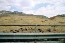 [2001sicile106.JPG]