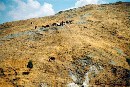 [2001sicile111.JPG]